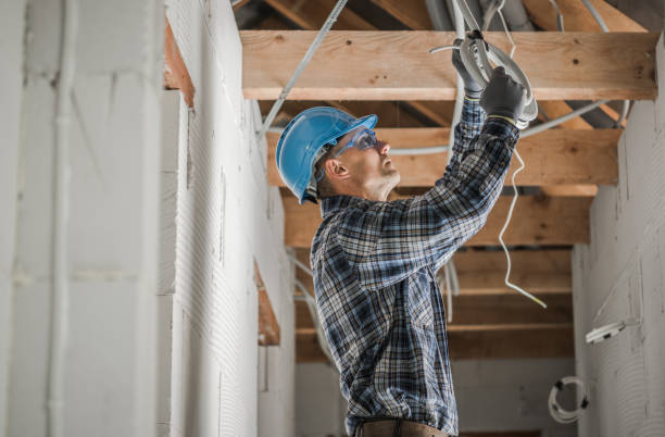 Best Electric Panel Repair  in Avis, PA